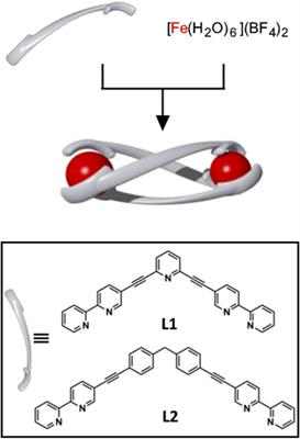 Cavity-Containing [Fe2L3]4+ Helicates: An Examination of Host-Guest Chemistry and Cytotoxicity